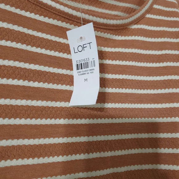 LOFT Nwt Boxy Oversized Cropped Peachy Brown & White Dot Striped Crewneck Tee, M - Picture 5 of 11